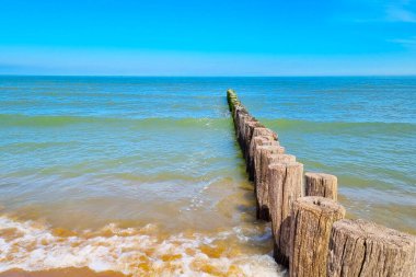 Tahta sütunlar sakin mavi bir okyanusa uzanıyor ve sakin bir sahil manzarası yaratıyor. Deniz mavisi dalgaları bulutsuz gökyüzünün altındaki sütunlara nazikçe çarpar, huzur ve rahatlama hissi uyandırır, stok görüntüler, seyahat içeriği veya doğa baskıları için mükemmeldir..