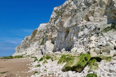 Sersemletici sahil kayalıkları, yükselen beyaz uçurumlar, yosun kaplı kayalar ve dingin mavi bir gökyüzü. Seyahat, doğa ve açık hava temalı projeler için ideal, deniz kenarındaki çevrenin güzelliğini ve sükunetini yakalamak.