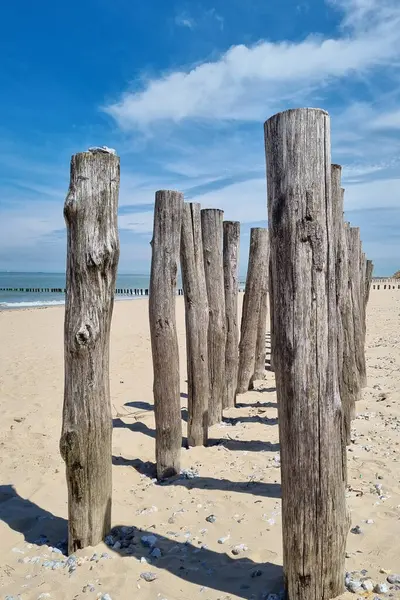 stock image Wooden poles stand in the golden sand of a serene beach under a bright blue sky with wispy clouds. the scene natural beauty of the coast, perfect for themes focusing on coastal vacations, nature, and beach-related designs.