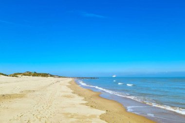 Altın kumlar, yumuşak dalgalar ve açık mavi gökyüzünün olduğu sakin bir sahil sahnesi. sakin kıyı manzarası bir rahatlama ve kaçma hissi sunar, seyahat yerleri, tatil noktaları veya açık hava aktiviteleri için idealdir.