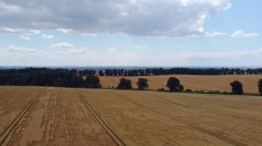 Geniş Buğday Alanı Bulutlu Gök Altında - Tarımsal Tasarım İçin Manzaralı Kırsal Arazi
