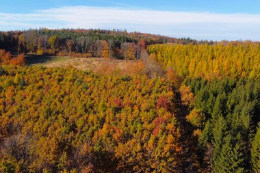 Bir sonbahar ormanının hava manzarası canlı yapraklar ve yemyeşil ağaçların bir karışımını sergiliyor. Sahne, açık mavi gökyüzünün altında koyu kırmızılardan parlak sarılara kadar uzanan zengin sonbahar renkleriyle doludur..