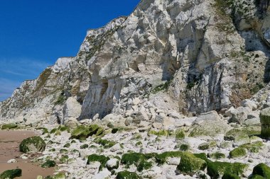 Sersemletici bir sahil manzarası beyaz kayalıklar ve açık mavi gökyüzünün altında canlı yeşil yosunları olan kayalık bir kıyı şeridi. Doğa, seyahat ve açık hava macera temaları için ideal. Yazılı ve dijital ortamda manzara için mükemmel.