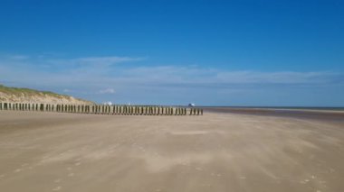 Parlak, kumlu plaj sahnesinde denize uzanan ahşap ağaçlar ve ufukta da uzak bir gemi var. açık mavi gökyüzü ve geniş açık alan bir huzur ve rahatlama hissi uyandırıyor, ideal.
