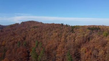 Berrak mavi bir gökyüzü altında canlı bir sonbahar yapraklarıyla kaplı yuvarlanan tepelerin çarpıcı hava manzarası. Manzarası doğa temalı tasarımlar için mükemmeldir.