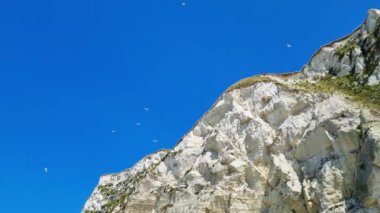 Uçan martılarla noktalanmış parlak mavi bir gökyüzüne karşı yükselen beyaz kayalıklar. Bu çarpıcı doğal manzara doğa temalı posterler, seyahat broşürleri ve manzara için mükemmeldir.