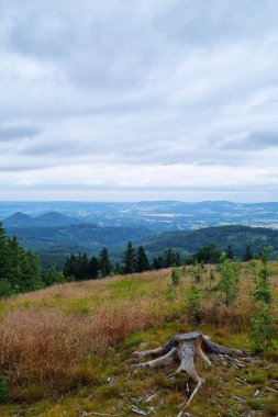 Bereketli yeşil ormanlarla çevrili, ön planda ağaç kütüğü olan çimenli bir tarlaya sahip sakin bir dağ manzarası. Sahne bulutlu bir gökyüzünün altındaki uzak tepelerin nefes kesici bir görüntüsünü sunuyor..