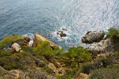 Parlak okyanusa bakan engebeli kayalık uçurumların ve canlı yeşilliğin nefes kesici manzarası. Parlak güneş ışığı doğal dokuları ve renkleri vurgular, seyahat ve doğa temaları için mükemmel bir cennet sahnesi yaratır..