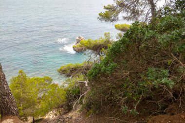 Kayalık bir kıyı şeridine bakan yemyeşil çam ağaçlarının olduğu huzurlu Akdeniz manzarası. Canlı yeşillik, doğal temalı projeler için uygun sakin bir kıyı atmosferini çağrıştıran berrak, masmavi sularla çelişiyor..