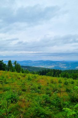 Geniş, bulutlu bir gökyüzü altında yemyeşil bir ormanı gösteren sakin dağ manzarası. Sahnede doğa temalı tasarımlar için uygun huzurlu ve doğal bir manzara sunan yuvarlanan tepeler ve uzak sıradağlar yer alıyor..