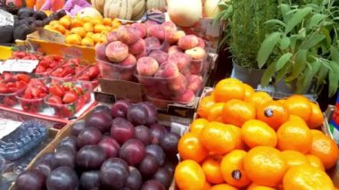 Bologna, İtalya, 13 Mayıs 2024: Canlı Çiftçi Pazarı Taze Meyve ve Bitkilerle Ekranı