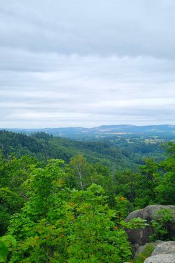 Breathtaking panoramic view showcasing dense green forests stretching across rolling hills under a vast, cloudy sky. ideal for promoting outdoor adventures, travel, nature retreats, and environmental awareness. clipart