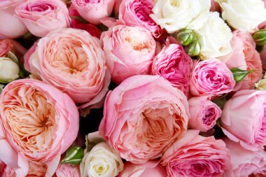 Çeşit çeşit pembe ve beyaz güllerin bulunduğu yemyeşil bir buket. Karmaşık taç yaprak katmanları ve hassas renklerini gözler önüne seriyor. Romantik temalar, çiçek tasarımı ilham kaynakları ve hediye fikirleri için mükemmel..