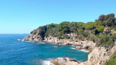 Bereketli, yeşil bir manzarayla çevrili kayalık bir kıyı şeridi içeren canlı bir kıyı manzarası. berrak mavi sular parlak, berrak bir gökyüzünün altında engebeli kayalıklarla buluşuyor, davetkar bir doğal geri çekilme sunuyor..