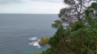 Huzurlu kıyı sahnesinde okyanusun engin ve hafif dalgaların küçük kayalık çıkıntıları kırdığı bir yer. Bereketli yeşil ağaçlar ön planda yer alır, sakin kıyı şeridinin doğal güzelliğini arttırır..