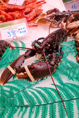 Barselona, İspanya, 1 Ekim 2024: Mağaza tezgahındaki bir yengecin yakın çekimi