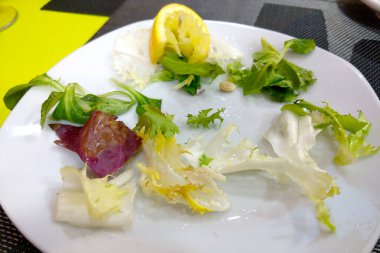 Çağdaş beyaz tabakta karışık yeşillik ve limon dilimi içeren minimalist bir salata. Yapraksı dokuların ve canlı renklerin karşıtlığı taze bir yemek özünü yakalar, sağlıklı yemek sunumları için mükemmeldir..