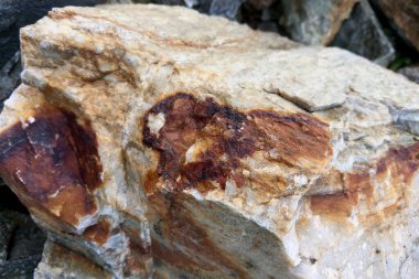 Engebeli bir kayanın detaylı dokusu, toprak rengi ve yüzey düzensizlikleri karışımı. Jeolojik çalışmalar için ideal, doğadan esinlenilmiş tasarımlar, veya yaratıcı projelerdeki arka planlar doğal elementler.