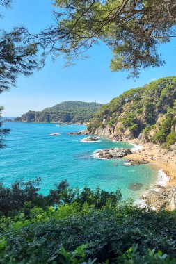 Bereketli yeşillik ve turkuaz sularla çevrili kumlu bir sahil manzarası. Tepeler uzaklardan yükselir, sakin bir zemin sağlar. Rahatlamak için mükemmel bir yer ve doğadaki yaz aktiviteleri için..