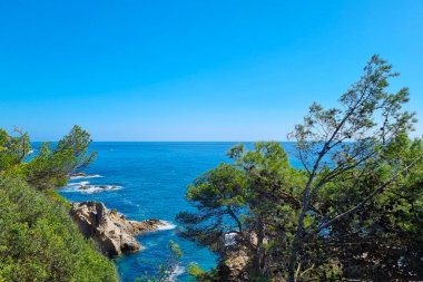 Bereketli ağaçlar ve çalılar parlak bir gökyüzünün altındaki geniş mavi denizi net bir şekilde görebilirler. Kayalık çıkıntılar kıyı şeridini noktalayarak, doğal temalı tasarımlar için ideal olan sakin manzaraya doku ve kontrastı ekliyor..