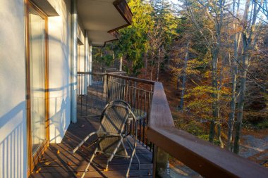 Canlı bir sonbahar ormanına bakan sakin bir balkon. Güneş ışığı, ıssız bir sandalyede sıcak gölgeler bırakır ve ahşap korkuluklar, doğanın güzelliği arasında rahatlama ve tefekküre davetiye çıkarır..