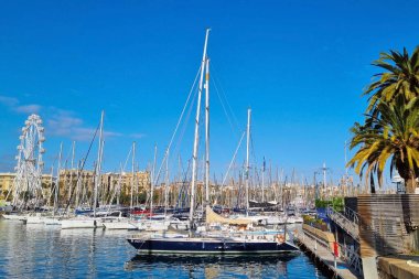 Barselona, İspanya, 25 Aralık 2024: Parlak mavi gökyüzünün altına yanaşmış sayısız yelkenli teknesi sahnesi. Arka planda yükselen dönme dolap eğlenceli bir element ekler, palmiye ağaçları ise tropikal bir dokunuş sağlar. Seyahat ve rahatlık için ideal.