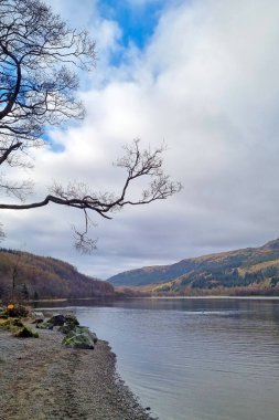 Yuvarlanan tepeler ve suyun üzerine uzanan çorak bir ağaçla çevrili sakin bir göl manzarası. Gökyüzü yumuşak bulutlarla süslenir ve ilkbaharın erken dönemlerine özgü barışçıl ve yansıtıcı bir atmosfer yaratır..