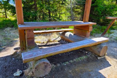 Ahşap bankların ve yemyeşil bir orman zemininin ortasındaki kütüklerden yapılmış bir masanın bulunduğu kırsal bir piknik alanı. Güneş ışığı ağaçların arasından süzülür, doğal ahşap dokuları aydınlatır ve çevredeki yeşillikleri sarar, sakin bir açık hava ortamı yaratır..