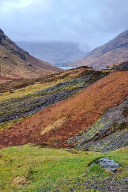 Bulutlu bir gökyüzünün altındaki sisli dağlara doğru uzanan yuvarlanan tepelerin huzurlu manzarası. yemyeşil ve topraksı renkler uyumlu ve sakin bir manzara yaratıyor, doğa severler ve açık hava meraklıları için mükemmel..