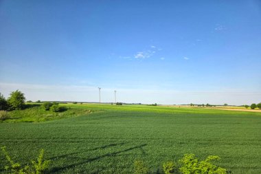 Berrak mavi gökyüzünün altında uzanan yemyeşil alanları olan geniş kırsal alan. Nazik dalgalanmalar ve uzak ağaçlar dingin ve açık hava hissini arttırır. Doğa temalı tasarımlar veya sakin sahne ayarları için ideal.