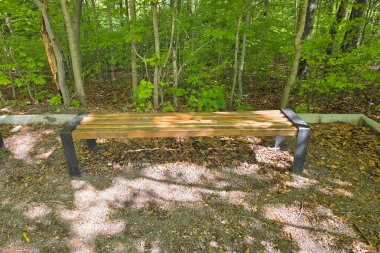 Canlı yeşil yapraklarla çevrili, sakin bir orman ortamında ahşap bir bank. Güneş ağaçların arasından süzülüyor, benekli gölgeleri bankın üzerine döküyor ve yapraklarla kaplı zemin yansıması için sakin bir yer sunuyor..