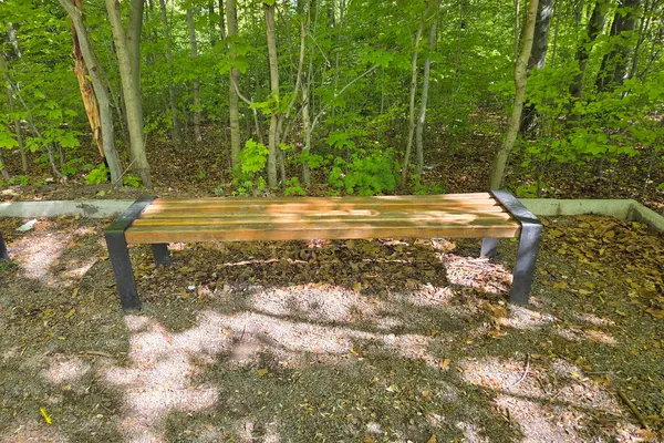 Canlı yeşil yapraklarla çevrili, sakin bir orman ortamında ahşap bir bank. Güneş ağaçların arasından süzülüyor, benekli gölgeleri bankın üzerine döküyor ve yapraklarla kaplı zemin yansıması için sakin bir yer sunuyor..