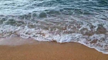 Sandy Shoreline 'deki Serene Sahil Dalgaları Doğa ve Sahil Huzuru