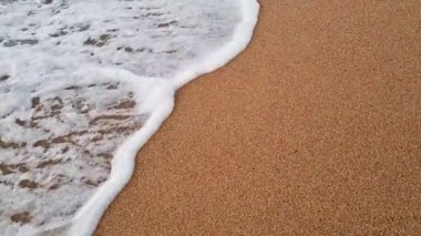 Huzurlu Okyanus Dalgası Altın Kumsal 'ı nazikçe okşuyor, Doğanın Huzuru ve Sahil Mutluluğu