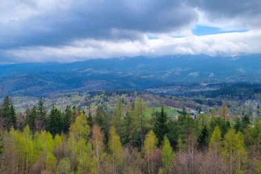 Bulutlu bir gökyüzünün altında, bir dağ sırasının eteklerine kurulmuş yemyeşil renkleri olan yemyeşil bir ormanın manzarası. Manzara, yuvarlanan tepeler, sık ormanlık alanlar ve uzaktaki insan yerleşimine dair bir ipucu sunuyor..