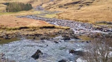 Bereketli bir vadide kıvrılan bir dağ deresinin sakin manzarası. Çimenlerle kaplı tepeler ve dağınık ağaçlarla çevrili kayaların üzerindeki yumuşak su akıntısı pitoresk bir doğal ortam yaratır..