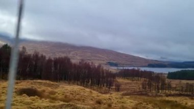 Sakin bir sonbahar manzarasında sis kaplı tepeler ve seyrek orman arazileri sakin bir atmosfer yaratıyor. Durgun renk paleti ve bulutlu gökyüzü rahatlama ya da doğa keşfi için mükemmel bir yer olduğunu gösteriyor..