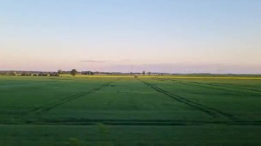 Geniş yeşil alan açık bir alacakaranlık altında uzanır, doğa, sükunet ve tarımsal temalar için mükemmel sakin bir manzara sunar. Ufkun ötesindeki ışığın ince geçişi sınırsız doğayı vurguluyor..