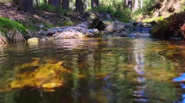 Bereketli yeşillik ve kayaların esansı ile çevrili huzurlu orman deresi sükunet ve doğal güzellik. Rahatlama, doğa inzivası ya da çevre dostu yaşam temaları için ideal.