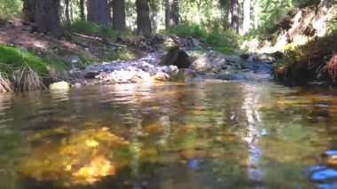 Berrak bir orman deresi, yemyeşil ve kayalarla çevrili, güneşli bir ormanlık alanda dolanıyor. Suyun yumuşak akışı yansıtıcı bir yüzey yaratarak bu güzel doğal ortamın sakin atmosferini arttırır..