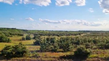 Bereketli yeşillikleri ve dağınık genç ağaçları olan yuvarlanan tepeler, tüylü bulutlarla benekli parlak mavi bir gökyüzü altında uzanıyor. Sakin kırsal kesim, arka planlar, tasarımlar ve doğa temalı projeler için ideal sükunet ve doğal güzelliği çağrıştırıyor..