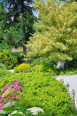 Bereketli bir bahçe boyunca dolambaçlı bir yolun yanında güneş lekeli bir bank. Rengarenk çiçekler ve çeşitli yeşilliklerle çevrili bu huzurlu sahne, doğanın güzelliğini ve rahatlığını davet ediyor..