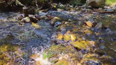 Berrak suların kayaların ve çakıl taşlarının üzerinden aktığı yemyeşil sularla çevrili sakin bir dağ deresi. Güneş ışığı parlak bir etki yaratır, yosun kaplı taşların zengin dokuları, doğa temaları için mükemmeldir..