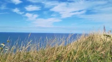İnce bulutlarla dolu canlı mavi bir gökyüzünün altında engin bir okyanusa bakan çimenli bir uçurumun olduğu sakin bir sahil manzarası. Barış, güzellik ve açık ufuklar için ideal..