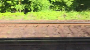 Bereketli yeşil bir ormandan geçen sakin bir demiryolu manzarası. Güneş ışığı yaprakları ve izleri renklendiriyor, doğa ve ulaşım arasında resim gibi bir kontrastlık yaratıyor, seyahat, doğa ve endüstriyel temalar için ideal.