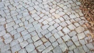 Çakıl taşı kaldırımları, kenarlarına kurumuş sonbahar yaprakları serpiştirilmiş klasik bir şablon şeklinde karmaşık bir şekilde düzenlenmiştir. Bu kırsal açık hava sahnesi tasarım projeleri veya mevsimsel temalar için mükemmel bir arka plan sunar..