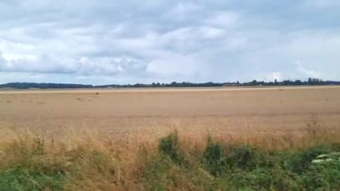 Geniş kırsal alan bulutlu bir gökyüzünün altında uzak bir ufka doğru uzanıyor. Sonbahar otlarının altın rengi sahneye sıcaklık katar, kırsal manzaraların dingin güzelliğini ve tefekkür anlarını gözler önüne serer..