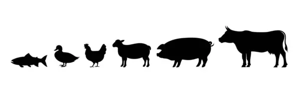 Hayvan silueti vektör tasarımı. Çiftlik hayvanları tavuk, balık, ördek, domuz, koyun, kuzu ve inek vektör simgeleridir..