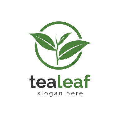 Çay yaprağı logosu tasarımı. Çay ağacı vektör logosu tasarımı