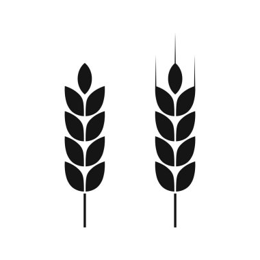 Wheat ear icon. Cereal icon on white background. Grain icon vector logo design. Agriculture symbol